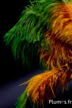 Strauss - 30-40 cm - aztekengold-grün